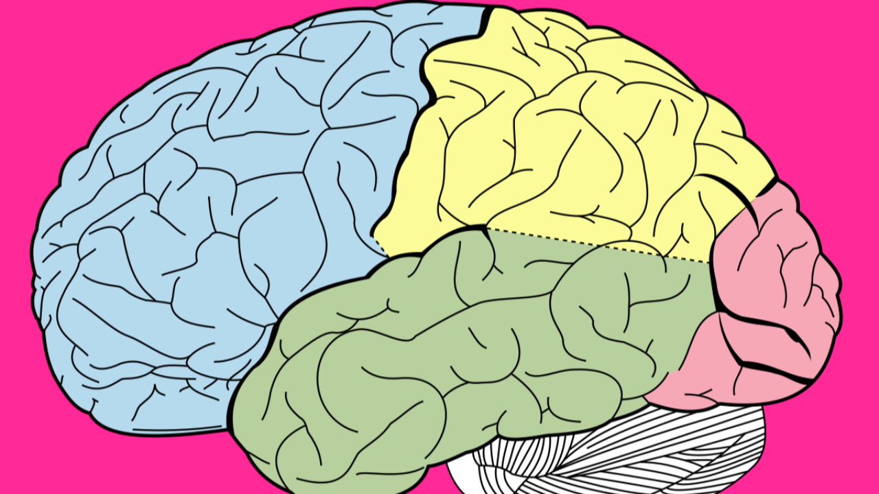 دراسة عن طيف التوحد تظهر أن التغييرات الدماغية أعمق من المعتقد