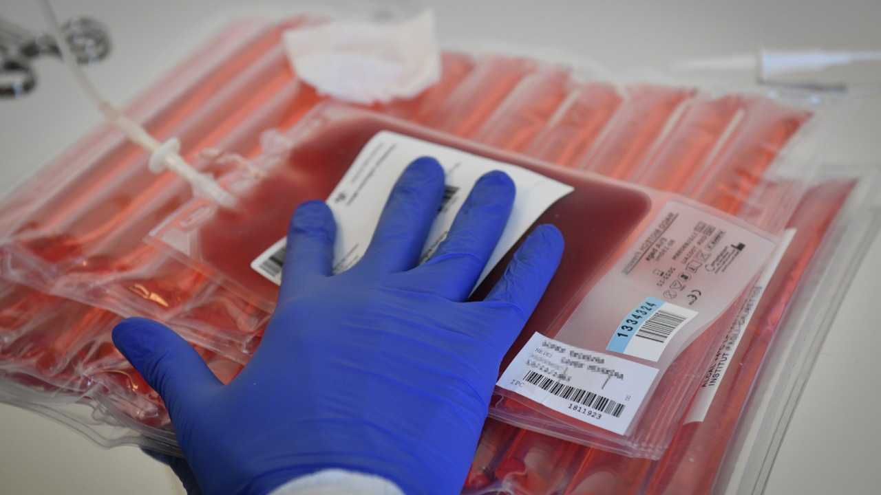 علاج جديد يقلّص بنسبة 74% خطر تقدّم نوع نادر من سرطان الدم