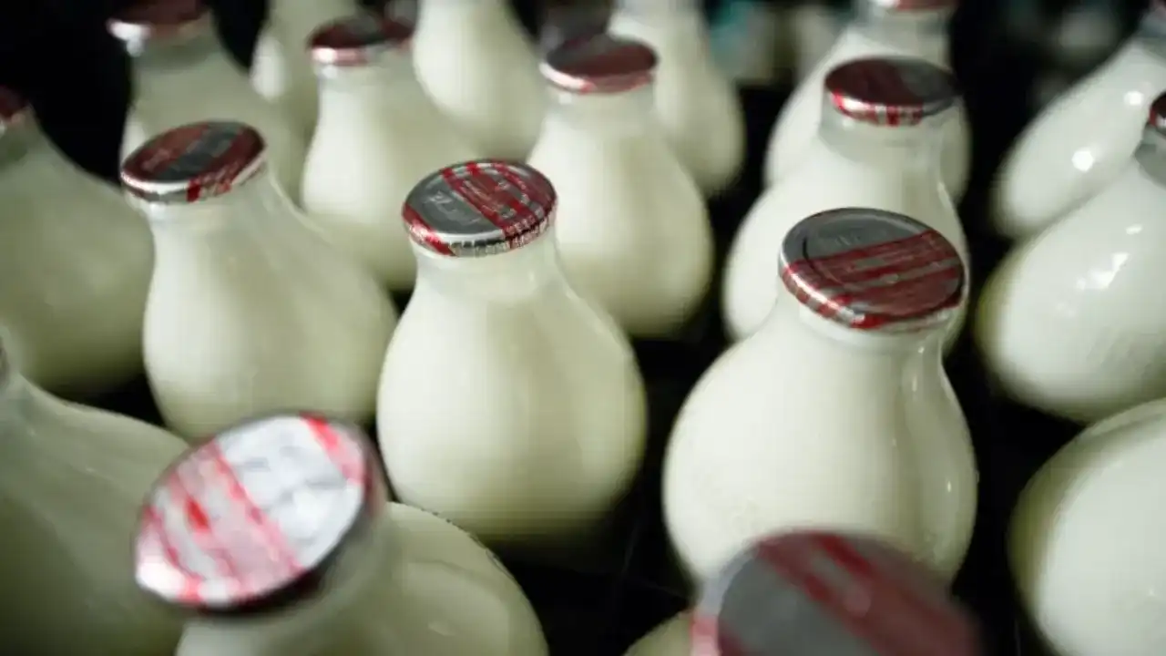 دراسة جديدة تثبت أن الحليب أكثر ترطيباً من الماء على عكس الشائع