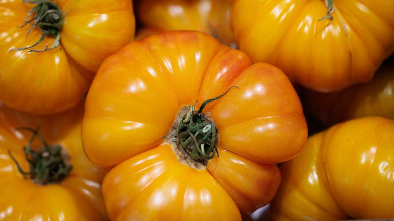 النظام الغذائي الغني بالكاروتين يقلل من الترسبات في الشرايين ويحمي الأوعية الدموية