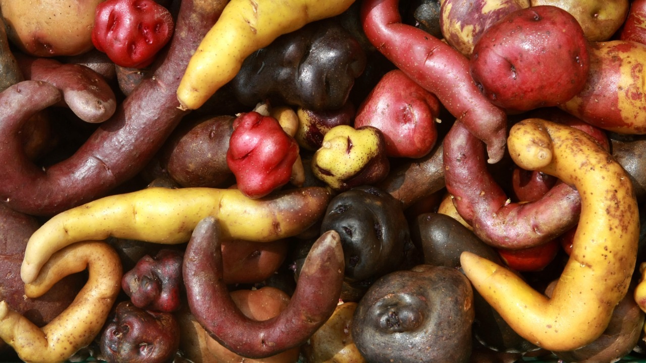 عكس الشائع... أطعمة صحية وغنية بالكربوهيدرات