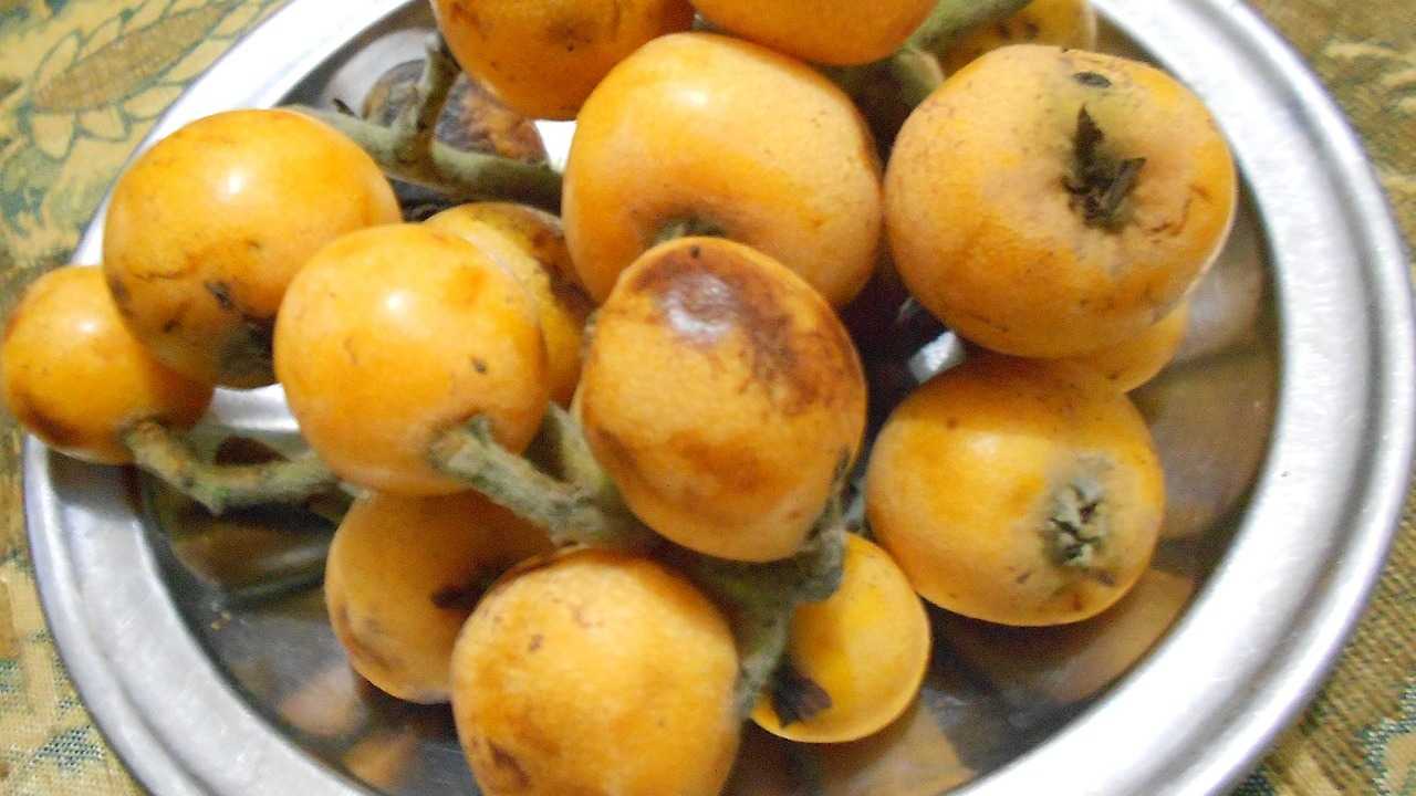 فوائد فاكهة الأكدنيا والقيم الغذائية الصحية لها