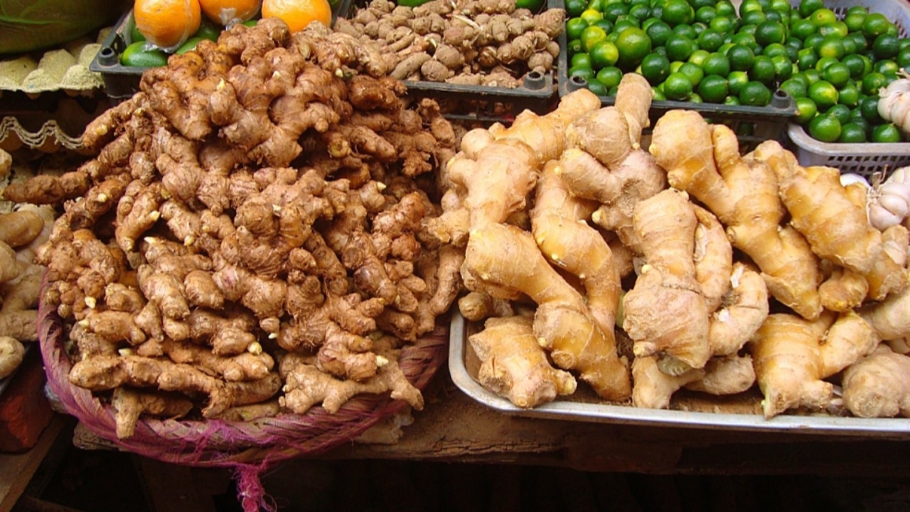 تناول الزنجبيل بانتظام يدعم صحة الجسد