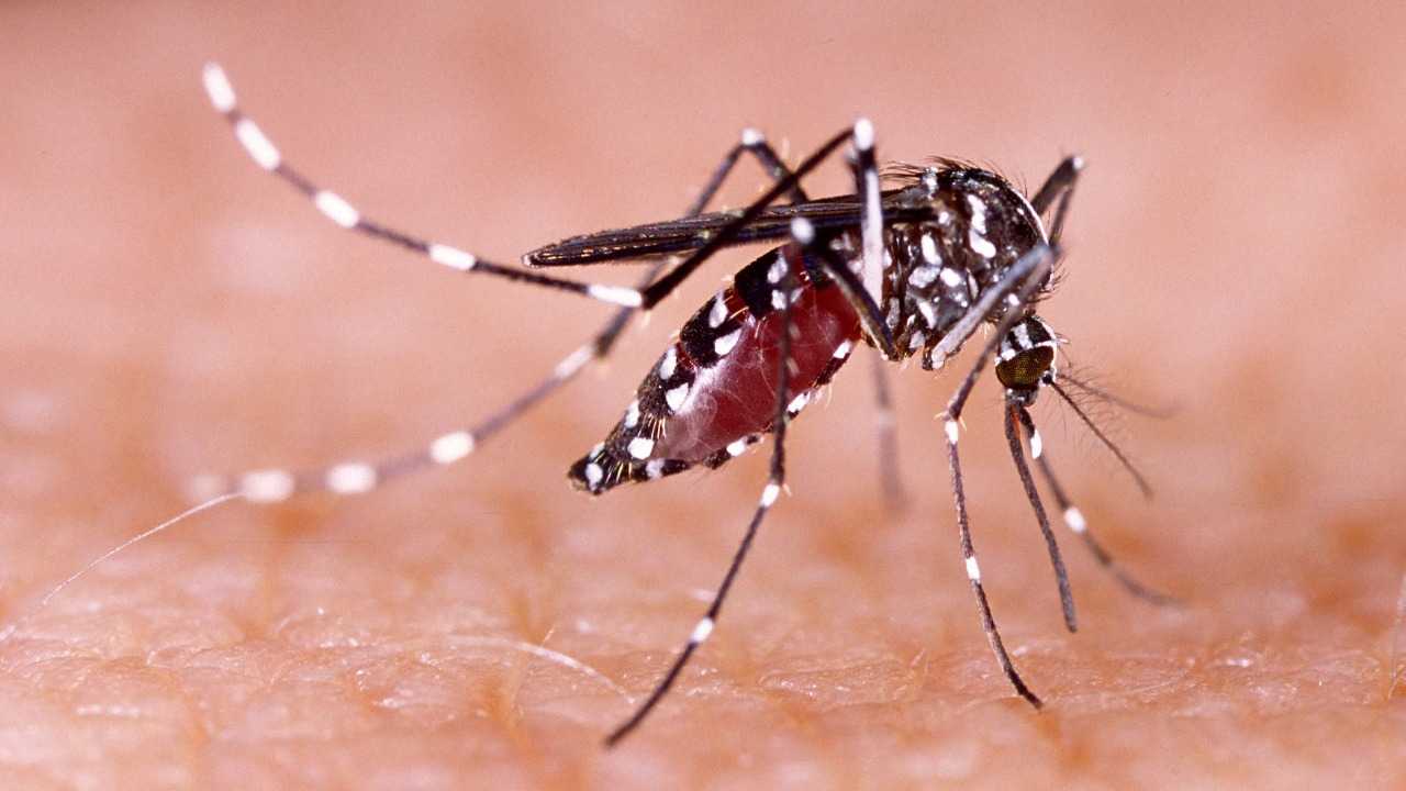 تفاصيل فيروس غرب النيل وعلاقته بتغير المناخ