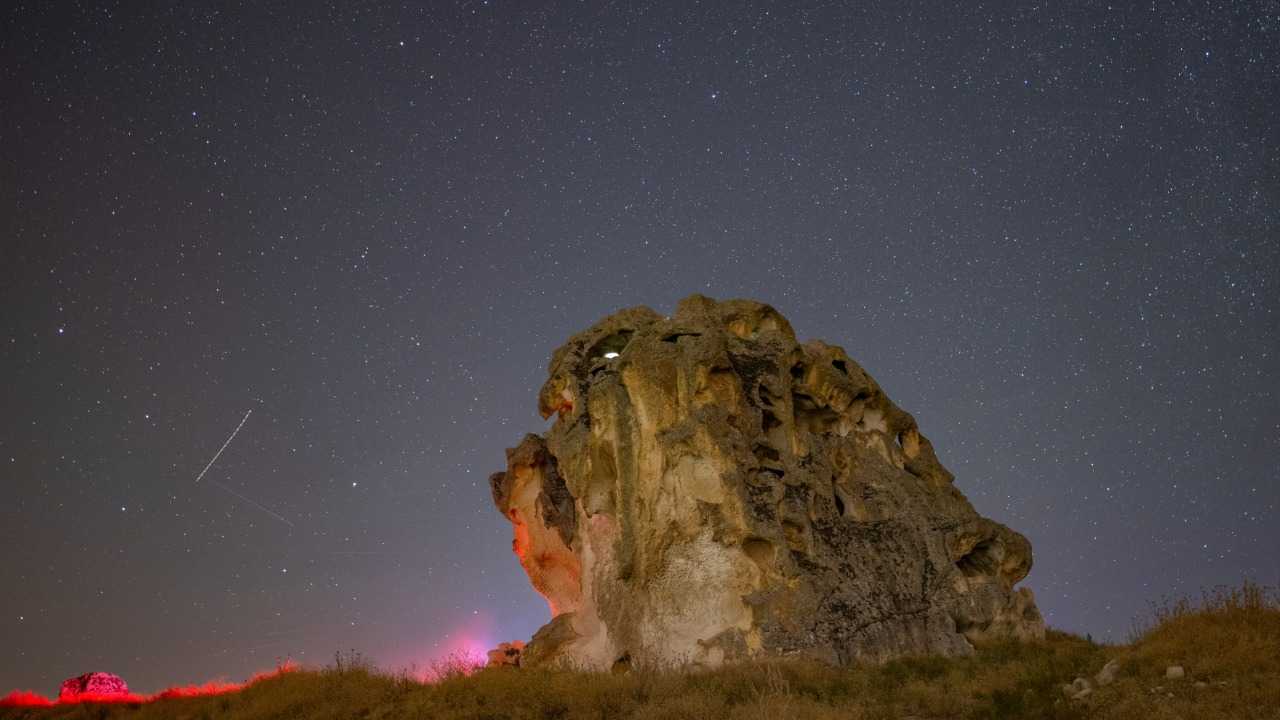 بالصور - 