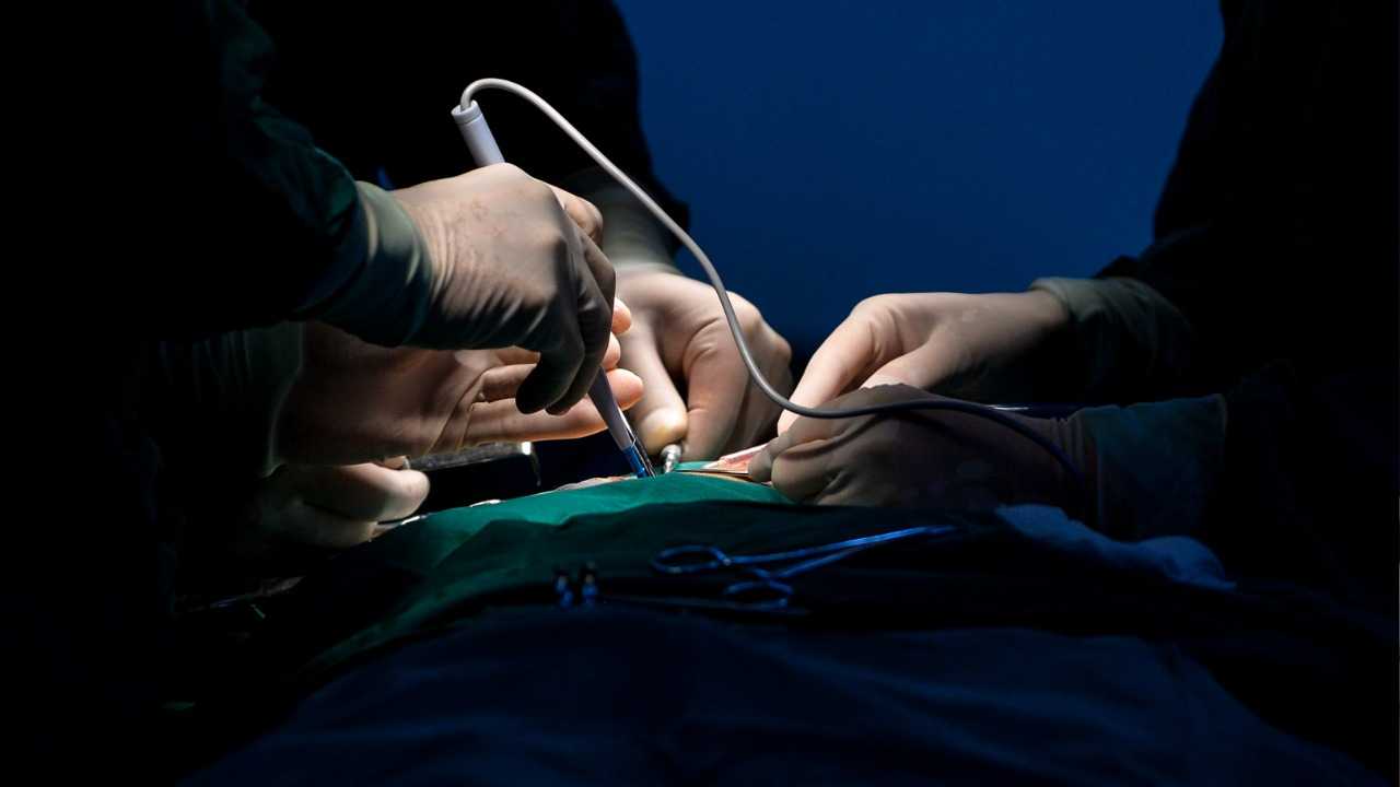 العثور على لدائن بلاستيكية (ميكروبلاستيك) في قلب الإنسان