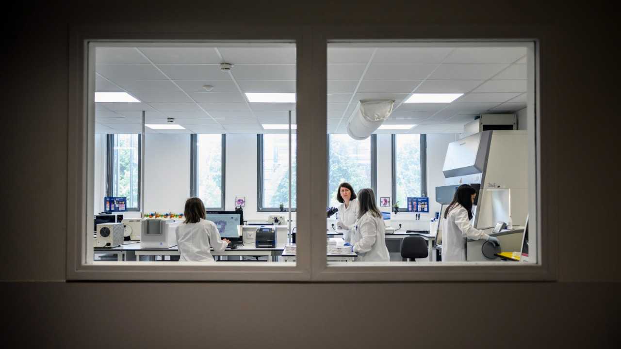 اكتشاف جديد: تطويع الجهاز المناعي لعلاج سرطان المبيض