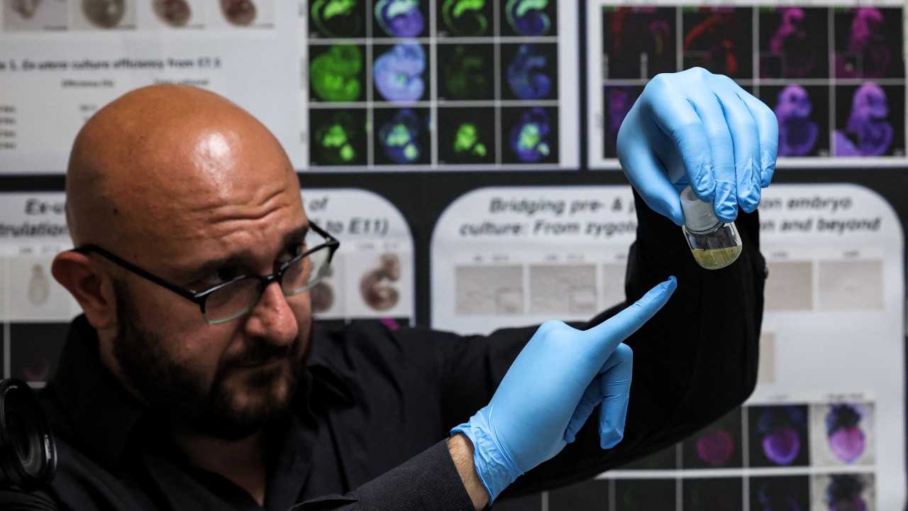 تطوير نماذج مخبرية مشابهة للأجنّة البشرية دون حيوانات منوية أو بويضات