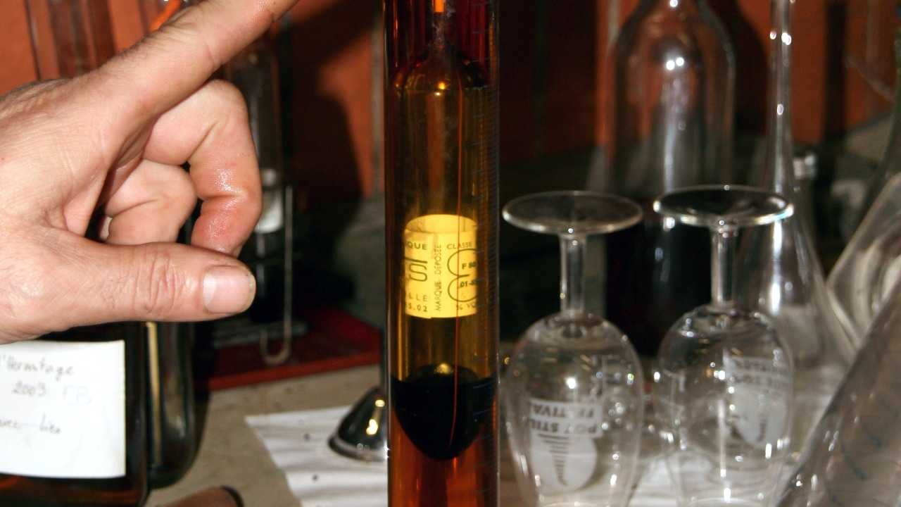 The harms of excessive caffeine consumption - The Observatorial