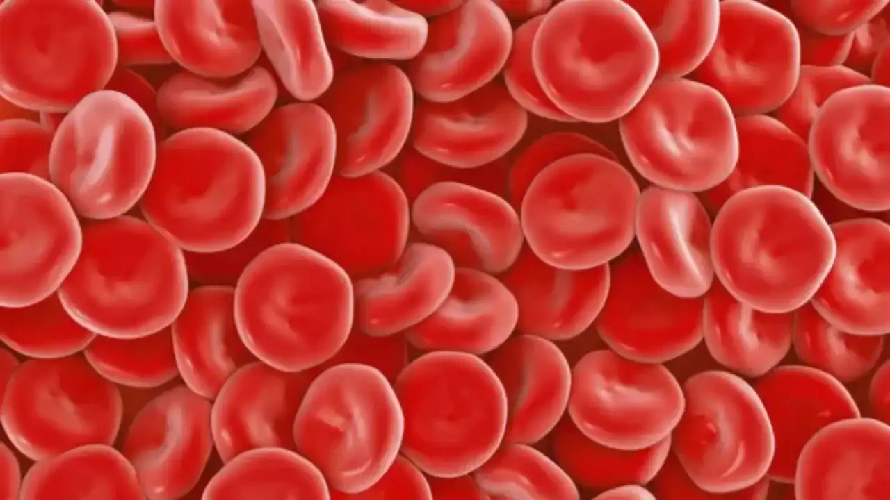 اكتشاف وجود هيموغلوبين في الطبقة العليا من جلد الإنسان ليحميه من العوامل المؤدية للتلف