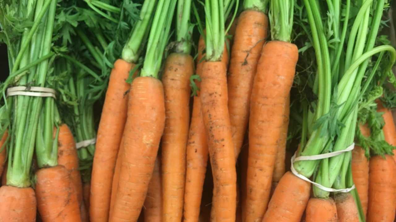 تناول الجزر خمس مرات في الأسبوع يحمي من جميع أنواع السرطان