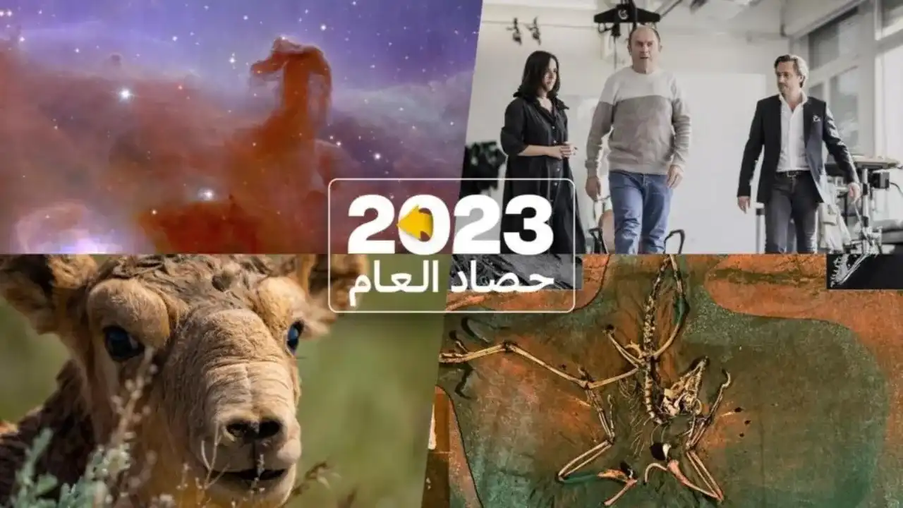 أبرز الأخبار المتفرّقة في 2023... اكتشافات فلكية وأثرية وإنجازات طبية وبيئية