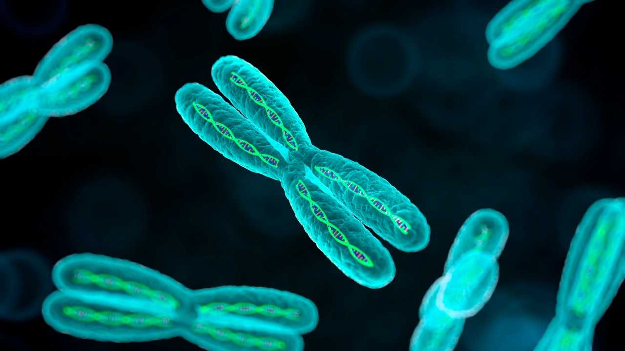 ازدواجية الميل الجنسي مرتبطة ببعض العناصر الجينية إلى جانب العوامل غير الوراثية