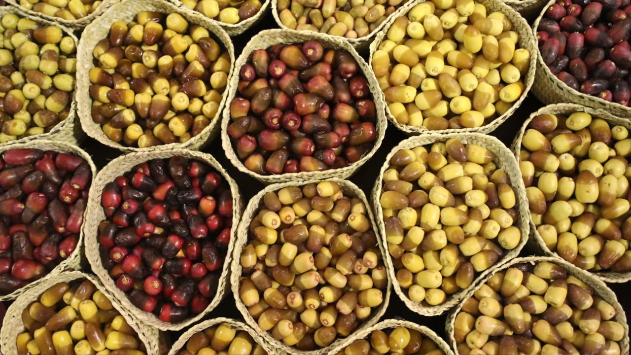 غني بالسكر ويناسب مرضى السكري... إليكم فوائد فاكهة التمر