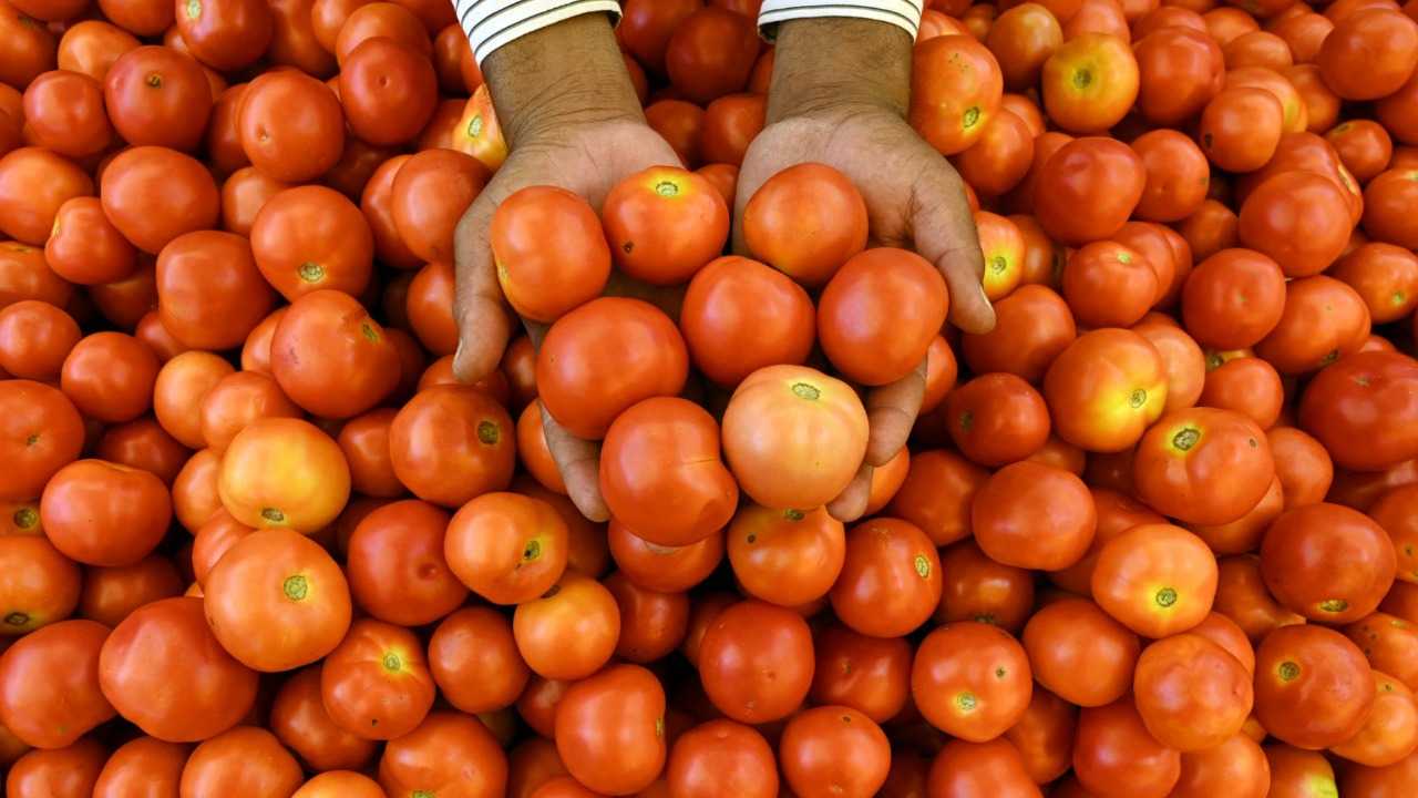 عصير البندورة يقتل السالمونيلا التيفية ويتخلص من البكتيريا المعوية الضارّة بصحّة الإنسان