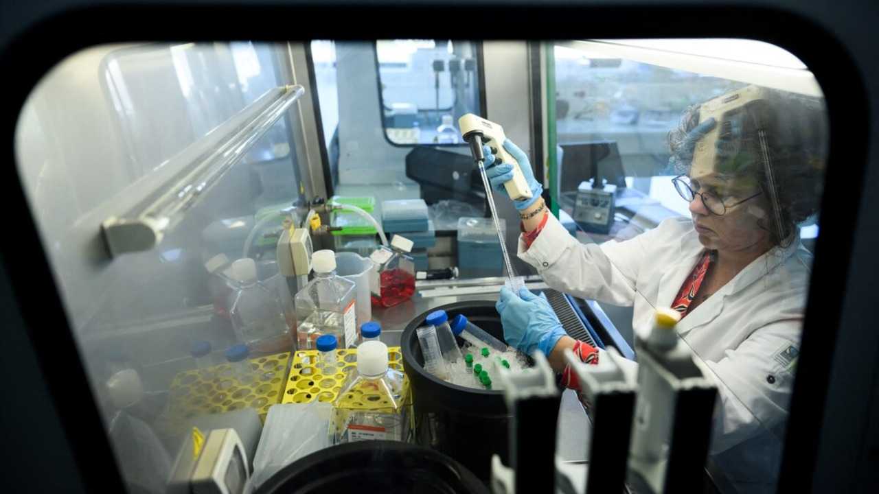 بعد الموافقة على مقص 