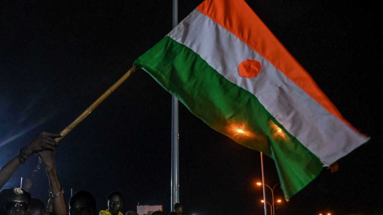 علم النيجر (مواقع)