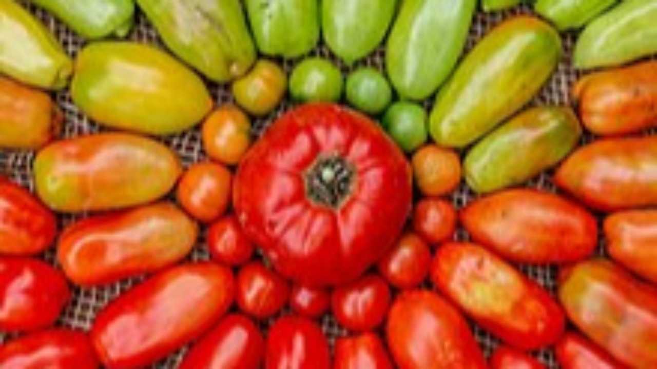 According to doctors and nutritionists, it is best to avoid combining cucumbers and tomatoes in a salad to prevent bloating and gas