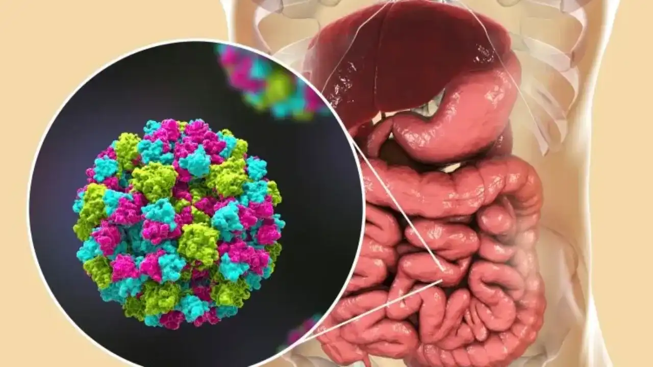 وباء جديد في شتاء 2025 ..