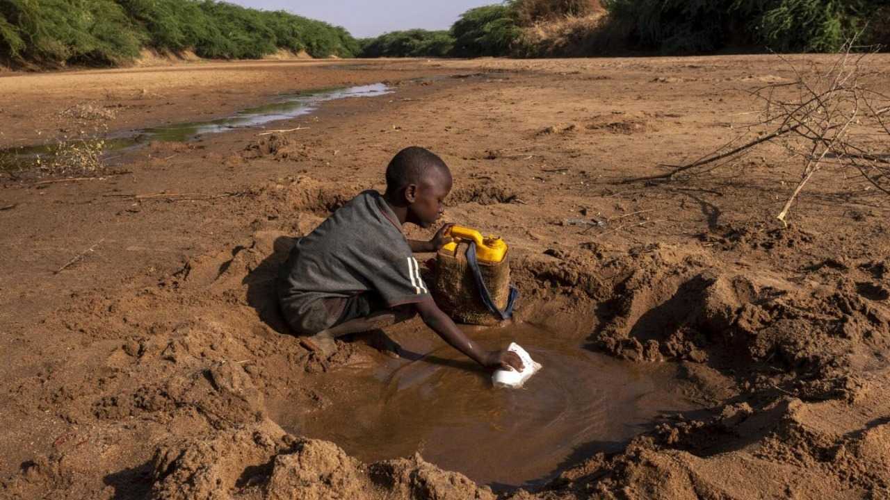 اليونيسف تحذّر: تخفيض المساعدات يهدد حياة مليون طفل في نيجيريا وإثيوبي