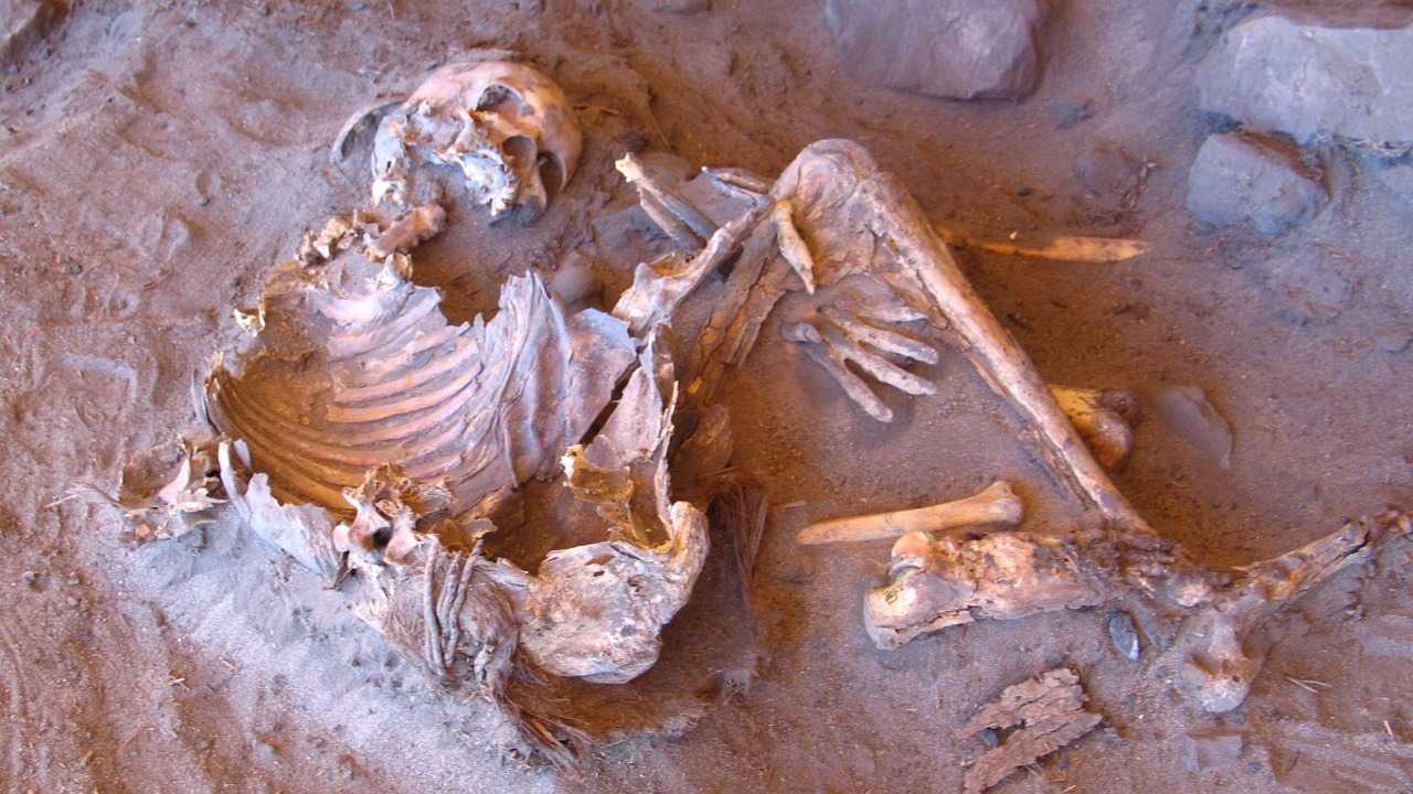 Ancient DNA reveals secrets of the 'Green Sahara' and its isolated inhabitants, the 'Takarkori' people of North Africa