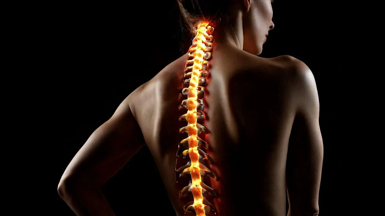 تكنولوجيا حيوية جديدة تغير مستقبل علاج إصابات الحبل الشوكي