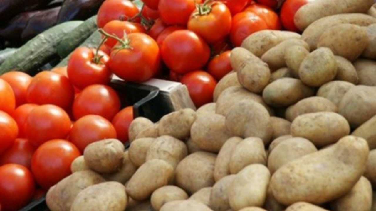 دراسة تكشف: البطاطا الحديثة نتاج تهجين قديم بين الطماطم وأنواع برية من البطاطا