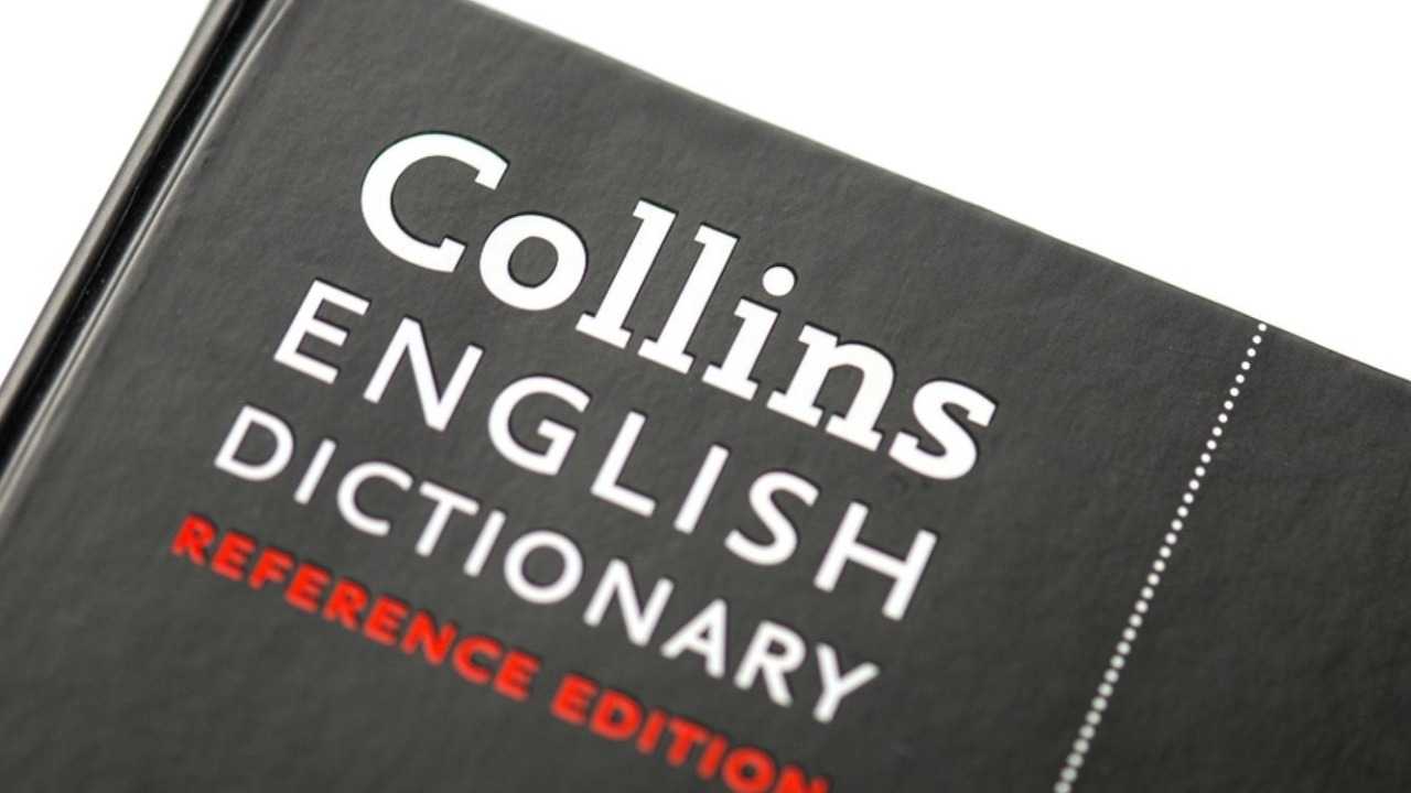 'Vibe coding' named word of the year by Collins dictionary