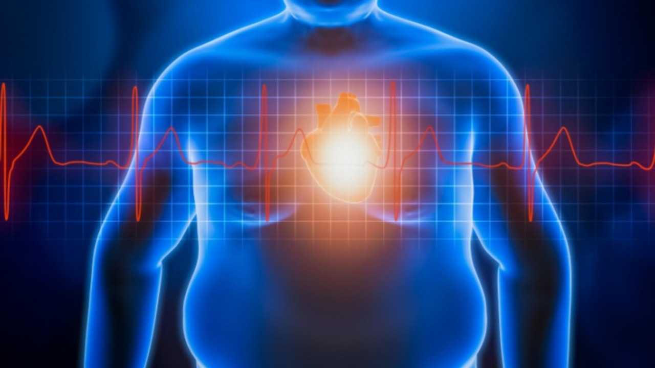 باحثون: سمنة بعض الأشخاص تحميهم من ارتفاع الكوليسترول بفضل جين دماغي