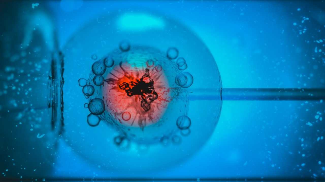 AI tools help choose best embryos for IVF