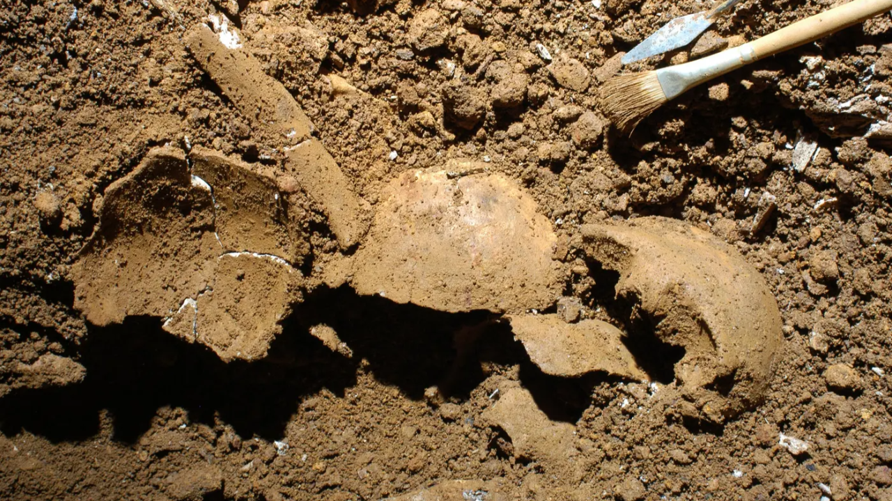 3,700-Year-Old Italian Burial Reveals Earliest Evidence of Father-Daughter Incest