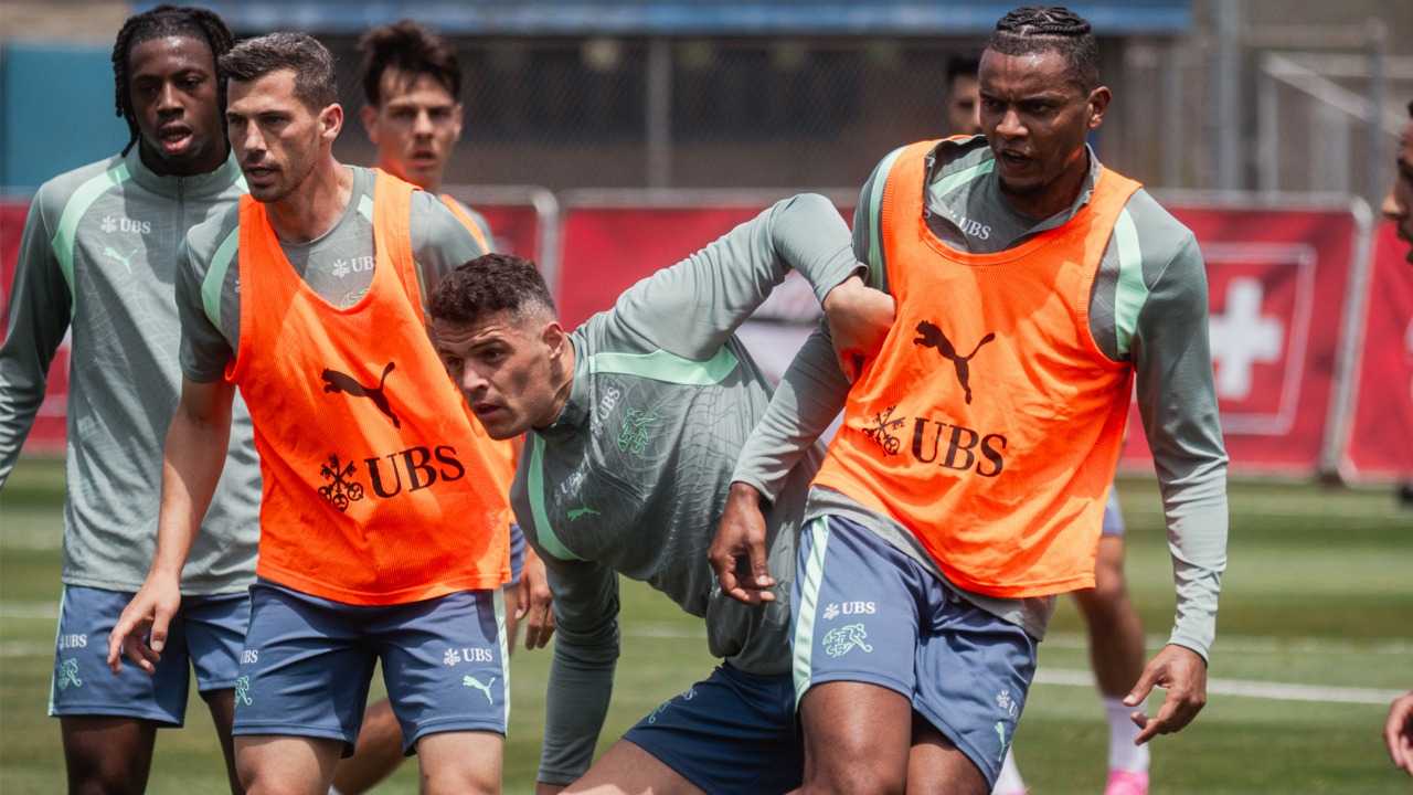 منطقة الأفاعي تربك استعدادات منتخب سويسرا لكأس العالم 2026